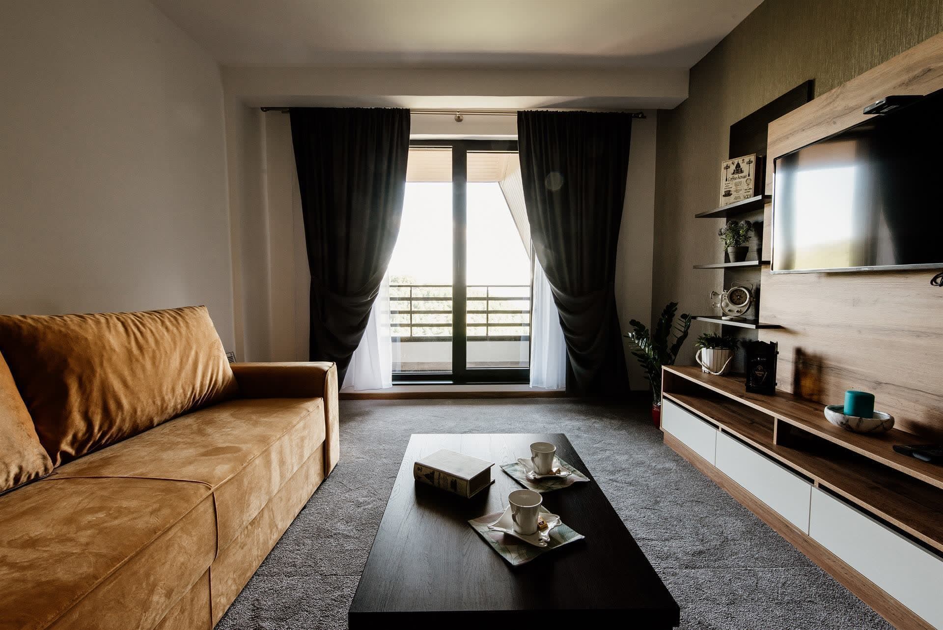 Furnished apartment living room
